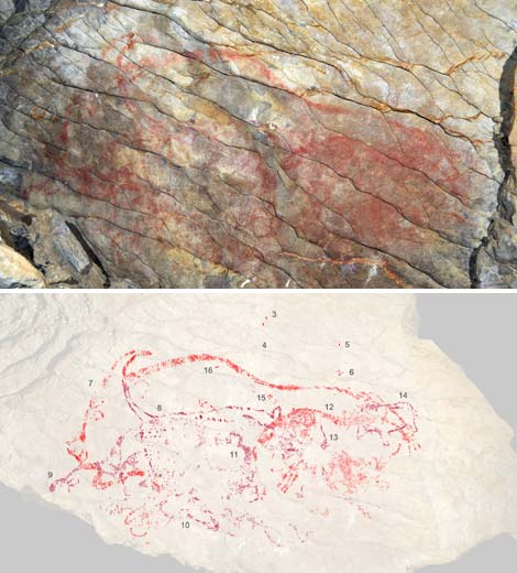  Arriba, la pintura rupestre de Altxerri B. Abajo, esquema de las figuras que contiene, incluyendo un bisonte (7), un felino (8) y un oso (14). http://esmateria.com/2013/09/22/en-busca-del-bisonte-rupestre-mas-antiguo-de-europa/#prettyPhoto